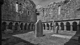Ross Errilly Friary cloister   |   22  /  47    |